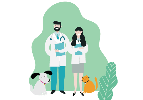VETERINARYמרכז וטרינרי בראשון לציון - ד״ר טינה וד״ר גיא אוהב שלום